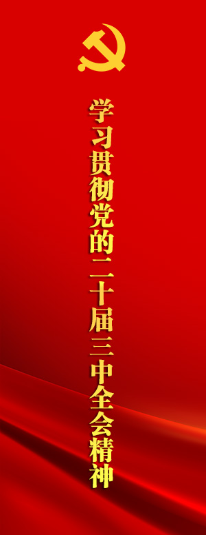学习贯彻党的二十届三中全会精神