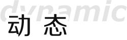 动态